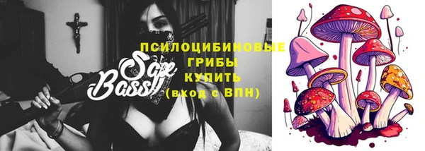 крисы Балахна