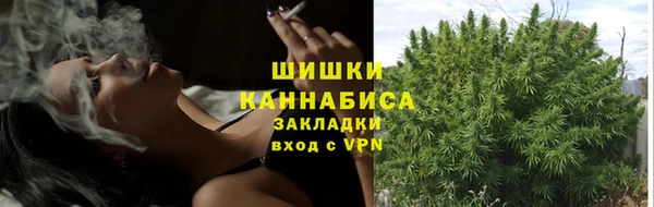 сатива Балабаново