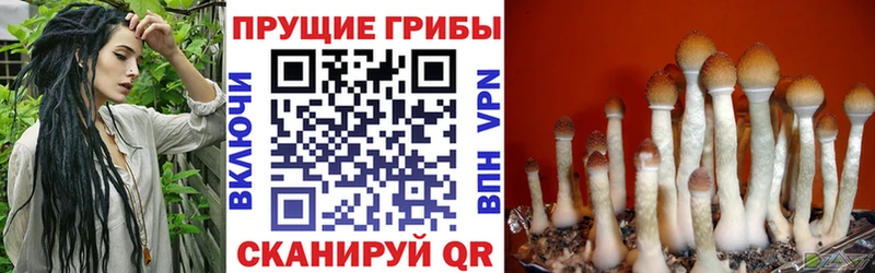 Галлюциногенные грибы MAGIC MUSHROOMS  Усть-Джегута 
