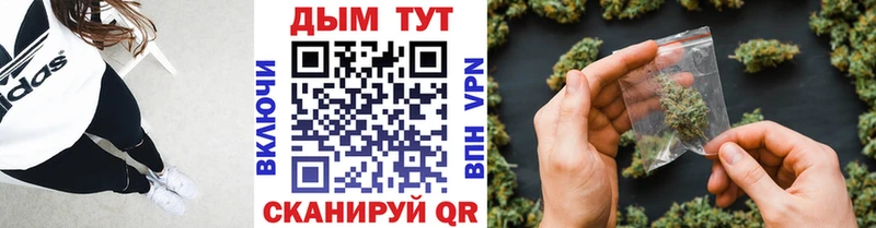 хочу   Усть-Джегута  нарко площадка как зайти  Конопля индика 